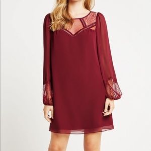 BCBGeneration babydoll lace dress in brûlée color